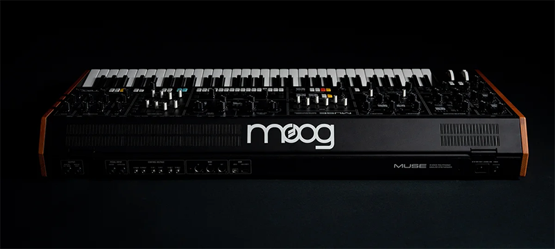 Moog Synths