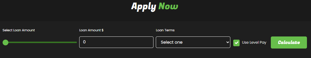 Application screenshot showing the Use Level Pay checkbox prechecked