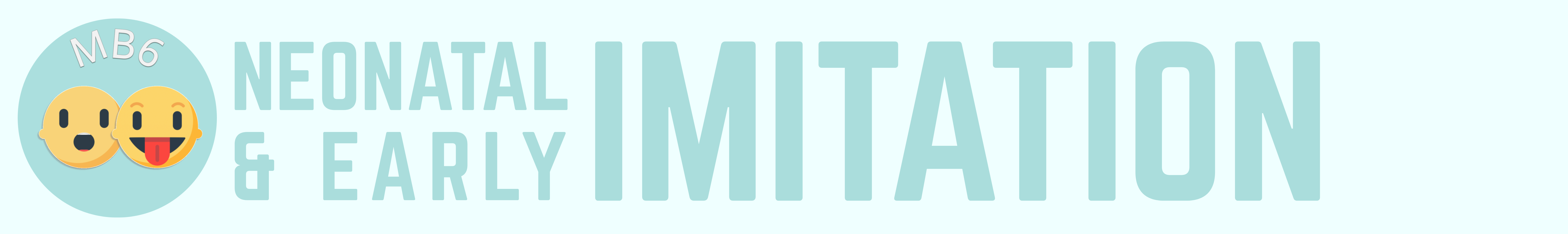 MB6: Neonatal and Early Imitation