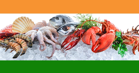 India’s Flourishing Exports