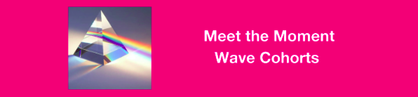 A pink background with a picture of a diamond pyramid on the left with a rainbow coming out of the pyramid. On the right is a white font stating, "Meet the Moment - Wave Cohorts." 