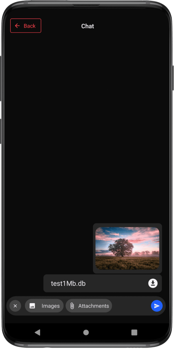 Mobile Chat UI with image and file attachment