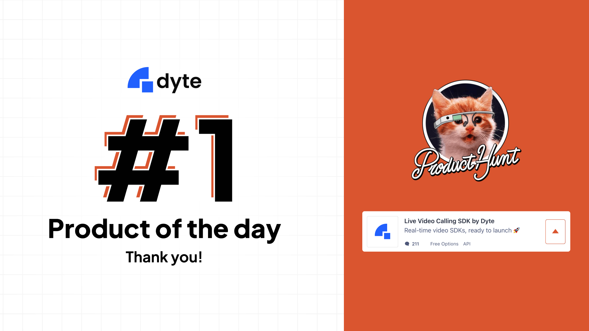 #1 Product of the Day