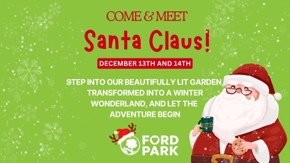 Christmas Magic at Ford Park