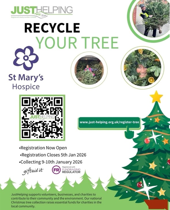Recycle Your Tree