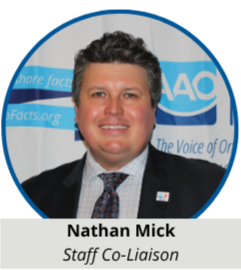 Board Member 11