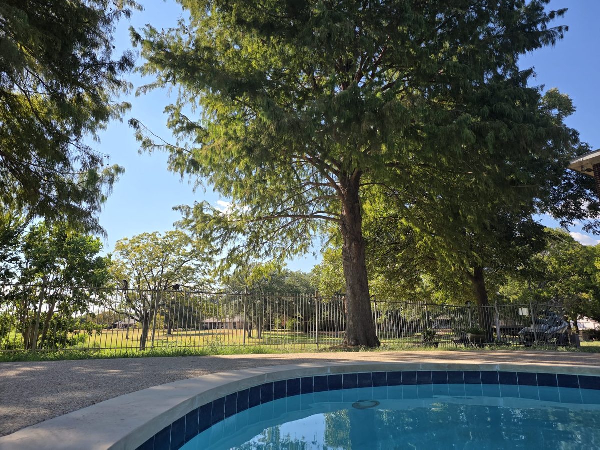 Lake Day view