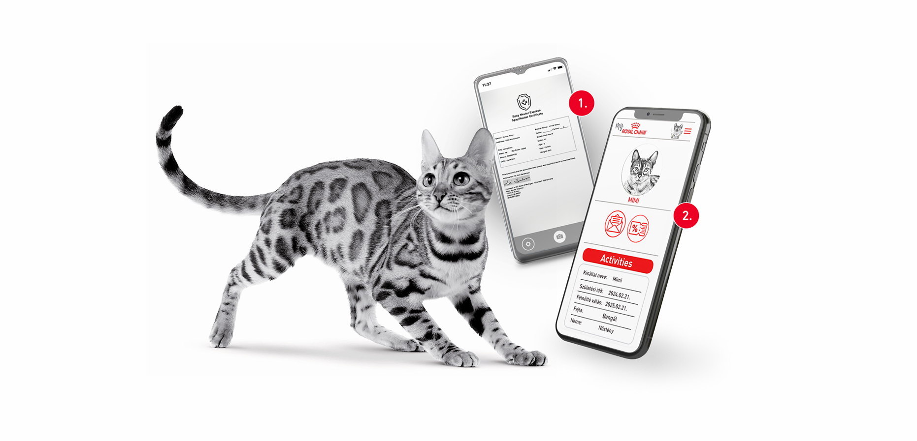 My Royal Canin kölyökprogram