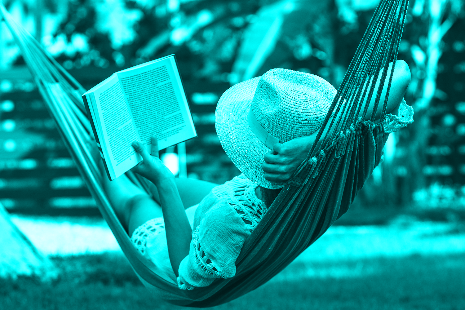 summer reading in hammock