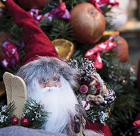 Holiday                                                            Magic: Danube                                                            Family River                                                            Cruise