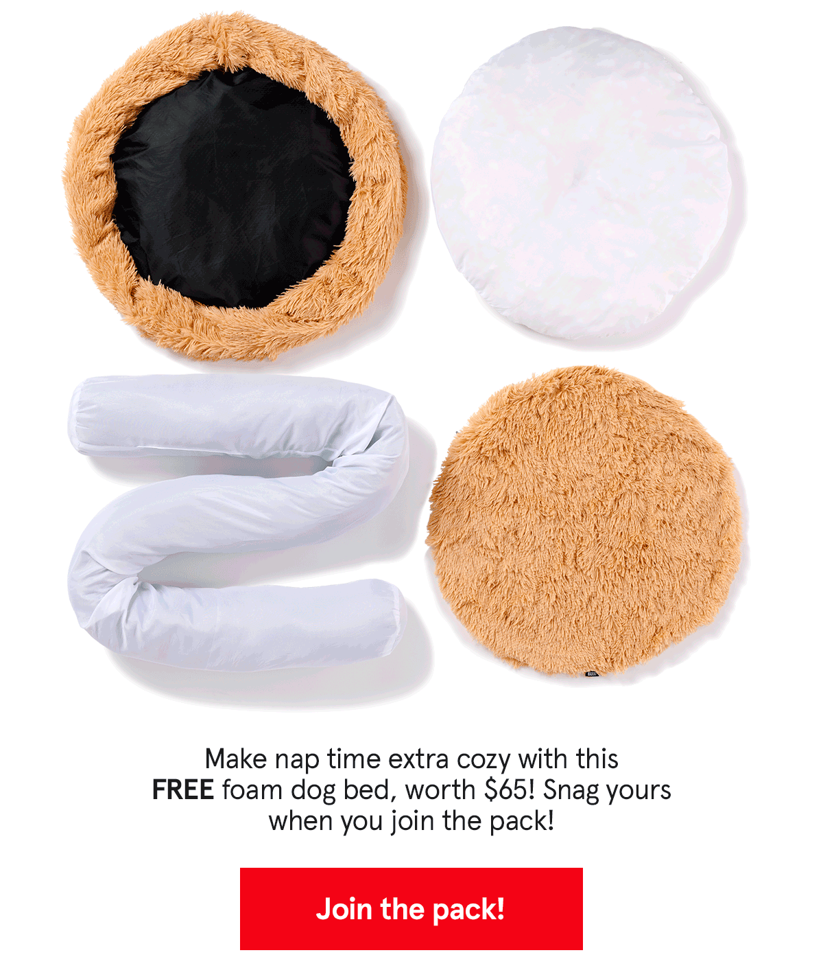 FREE Sofa Dog Bed = FREE 💤💤💤 BarkBox