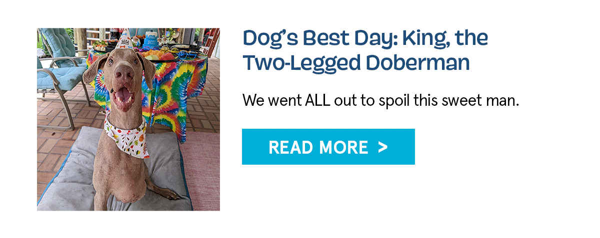 DOUBLE THE HOLIDAY GOODIES!!