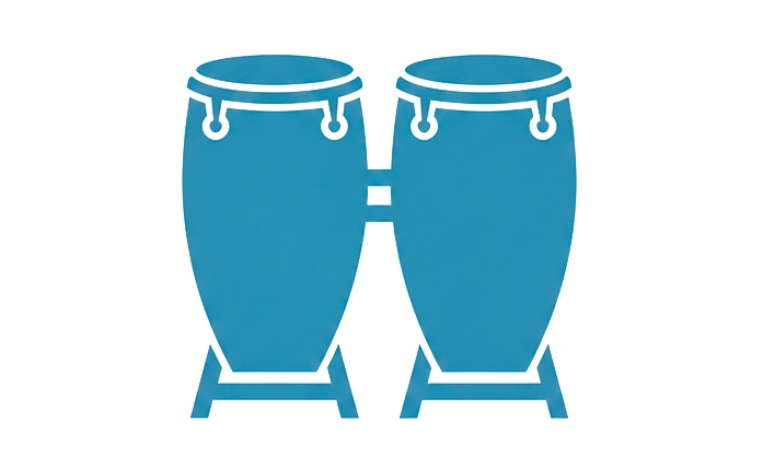 Instrumentos de membrana