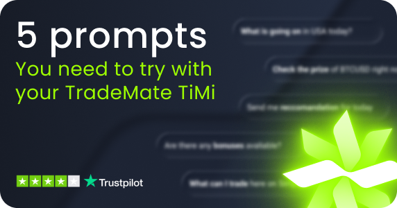 TiMi - try these prompts
