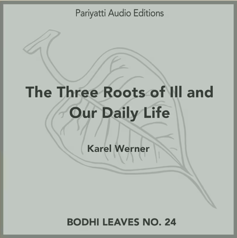 The Three Roots of Ill and Our Daily Life (audiobook)
