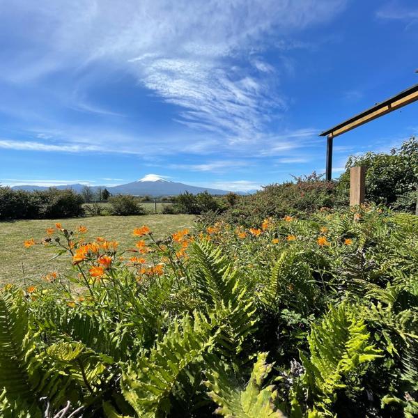 Chile_view-w-flowers