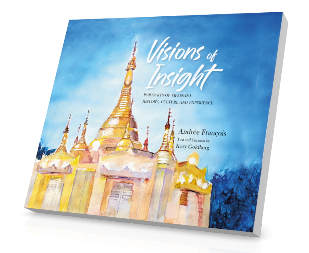 Visions of Insight: Portraits of Vipassana History, Culture and Experience