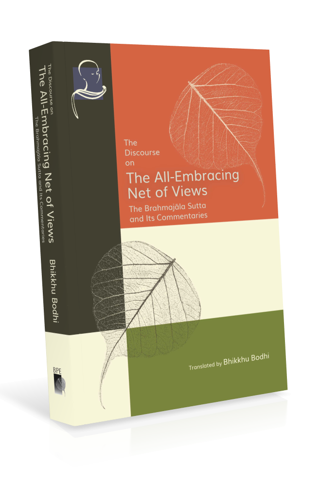 All-Embracing Net of Views