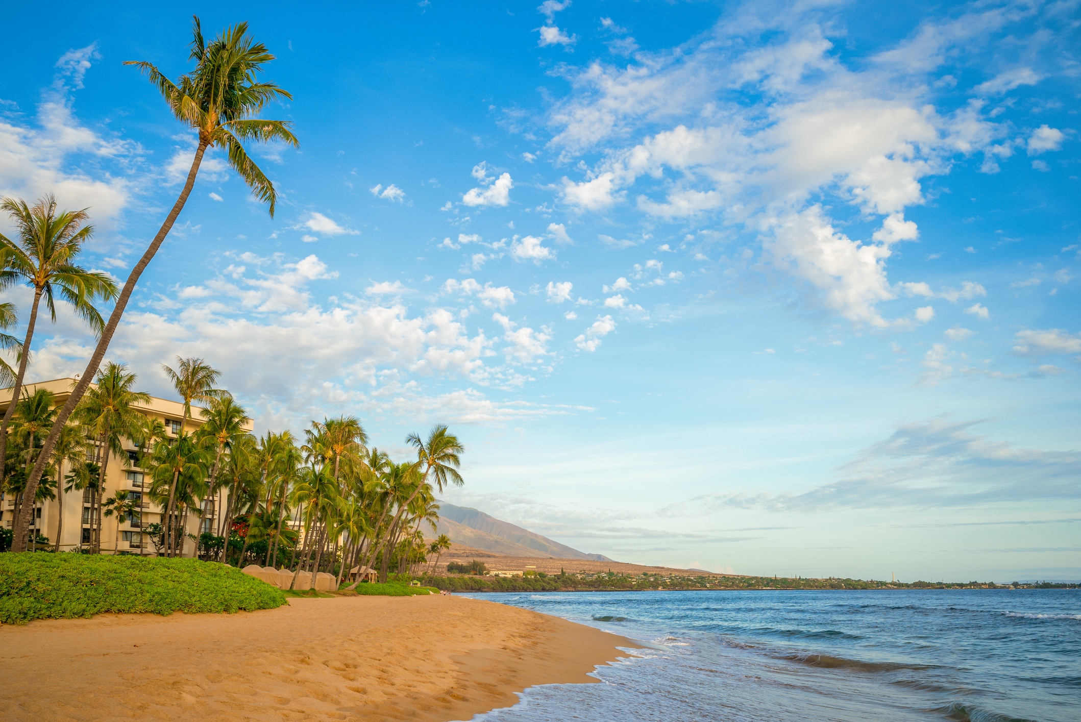 This Battle Over Maui Rentals Just Hit A Boiling Point