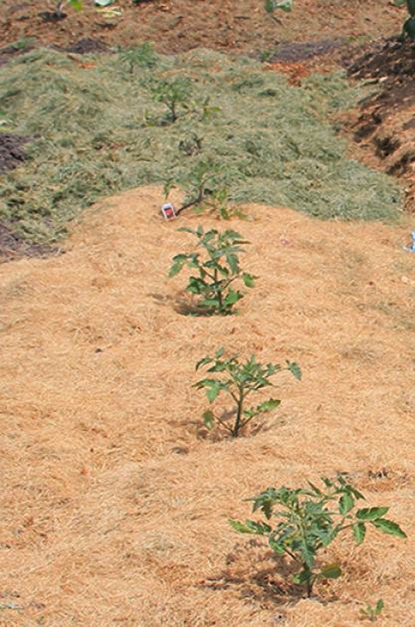 Mulching with grass clippings