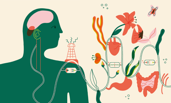 Vagus nerve abstract illustration