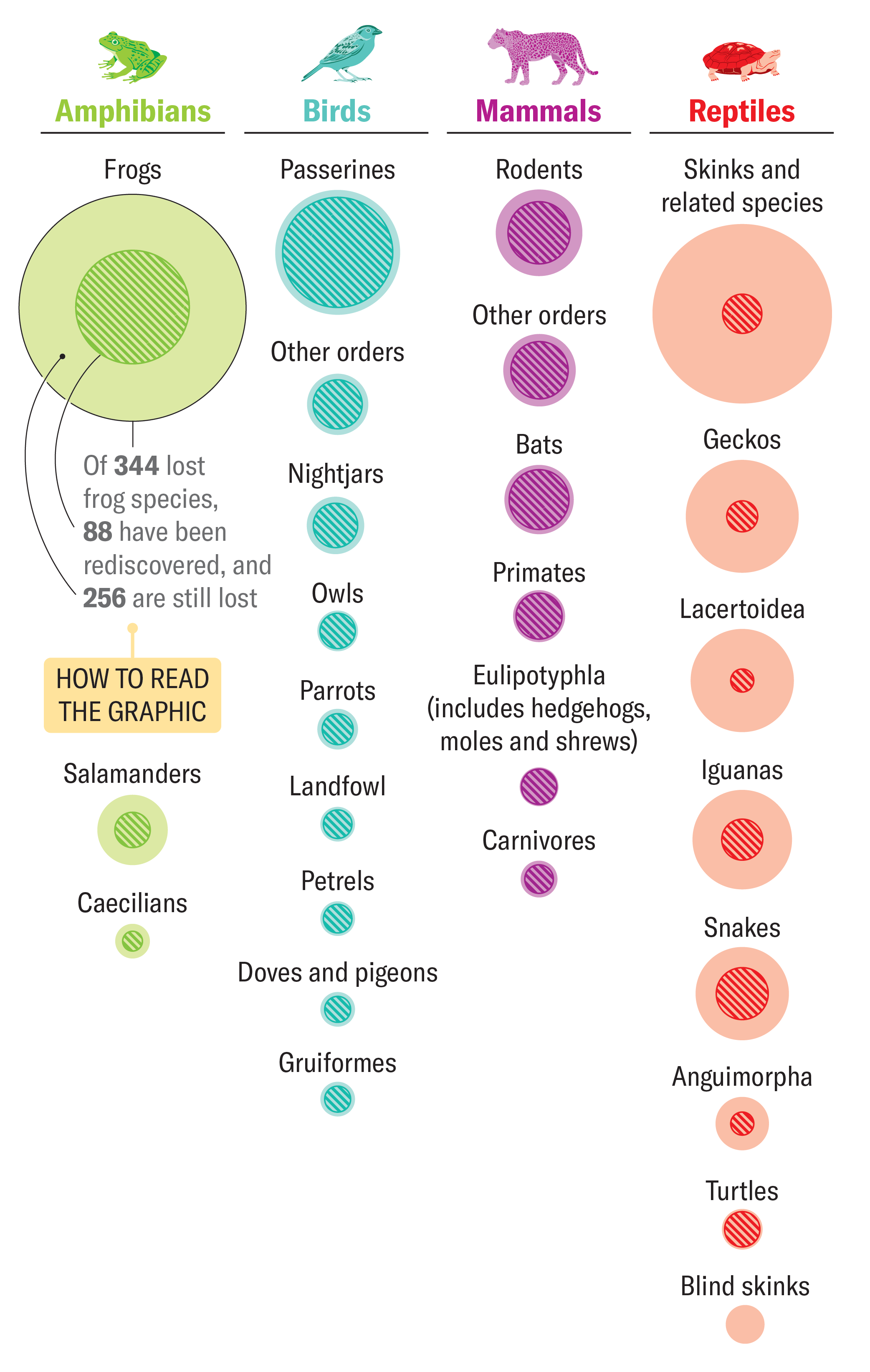 Graphic displaying rediscovered species compared to total number of lost species