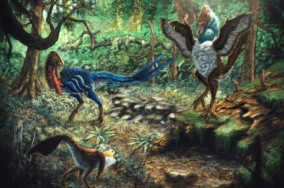 Illustration of new birdlike dinosaur species