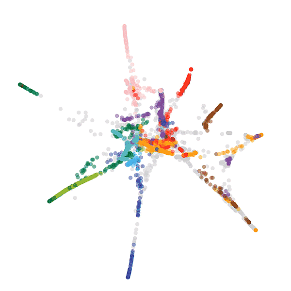 A GIF showing the genetic connections between different dog species