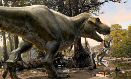 What Was It Like to Be a Dinosaur?