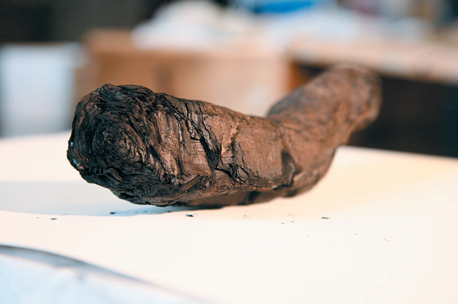 A baby grizzly bear leans one paw on his mama's backside.