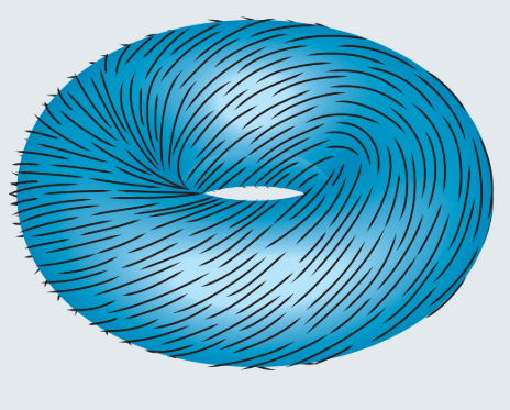 A blue doughnut shape covered in small lines resembling hairs that are all combed in the same direction