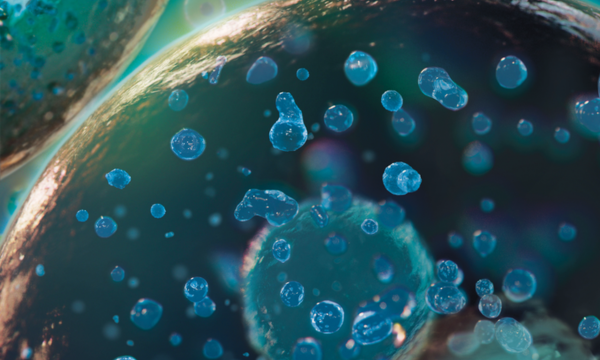 Biomolecular Condensates