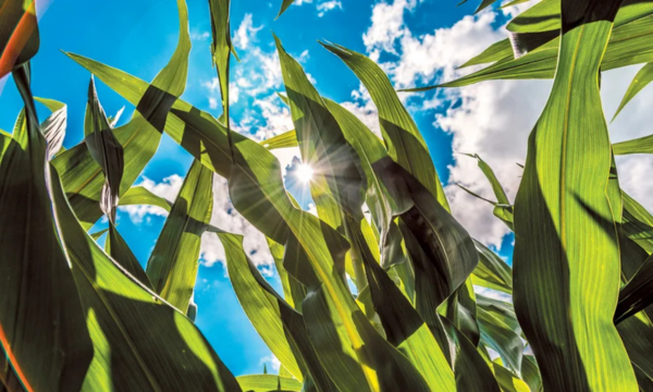 NASA's Europa Clipper Spacecraft
