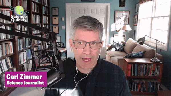 GIF of Rachel Feltman talking to Carl Zimmer