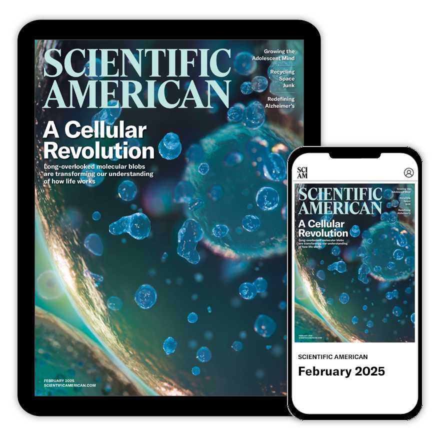 Scientific American October 2024 Issue