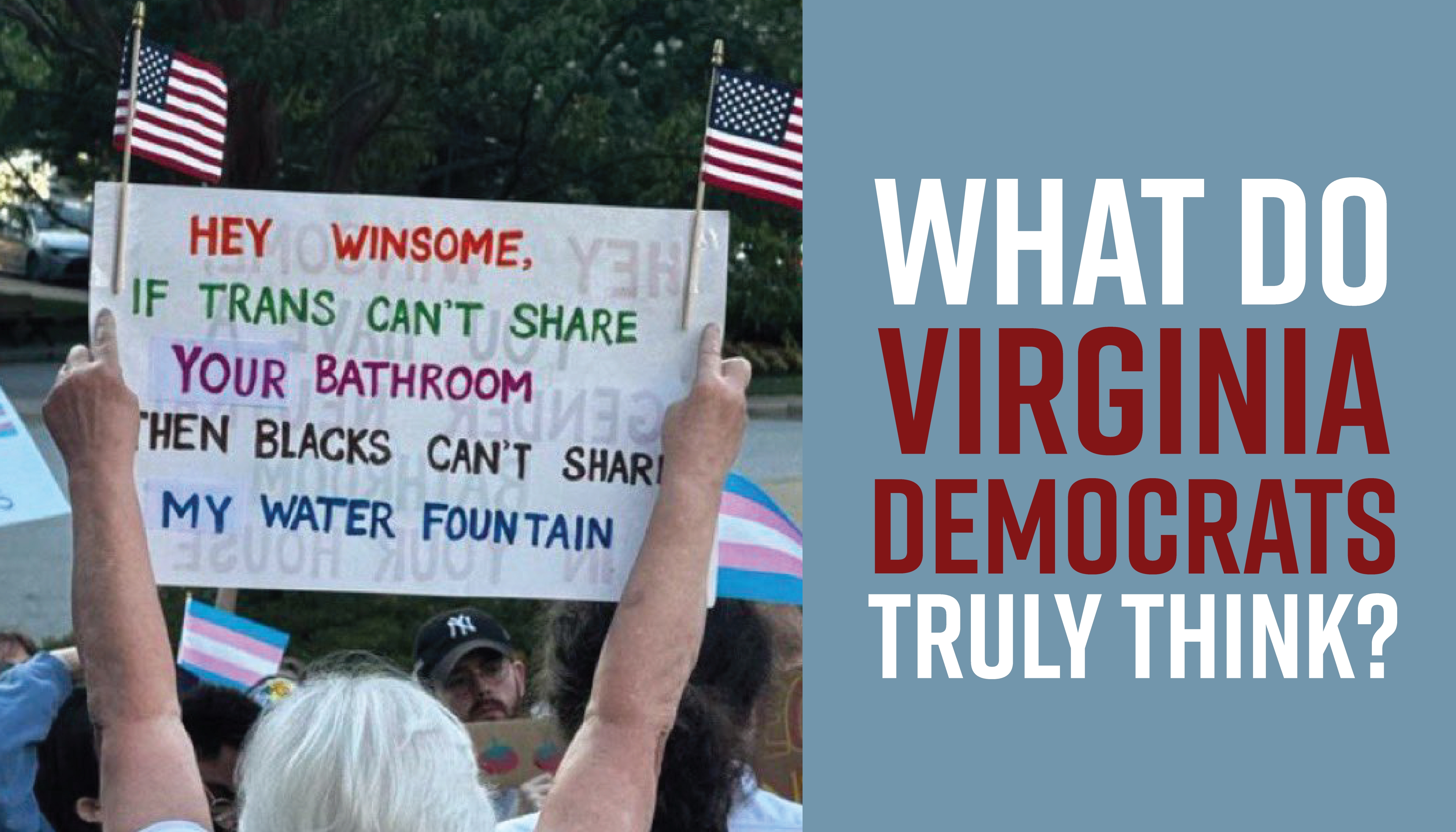 https://secure.winred.com/republican-party-of-virginia/racist-arlington