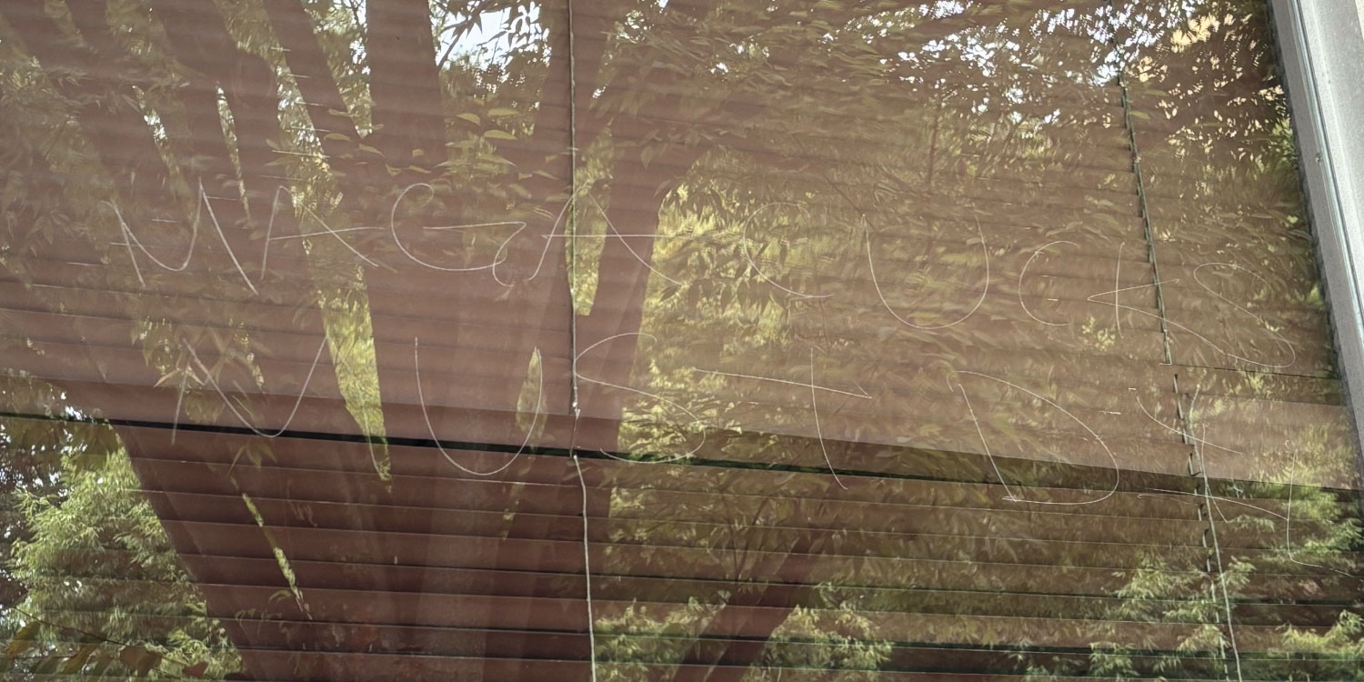 https://secure.winred.com/republican-party-of-virginia/rpv-vandalized-again