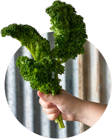 Fresh Ingredients