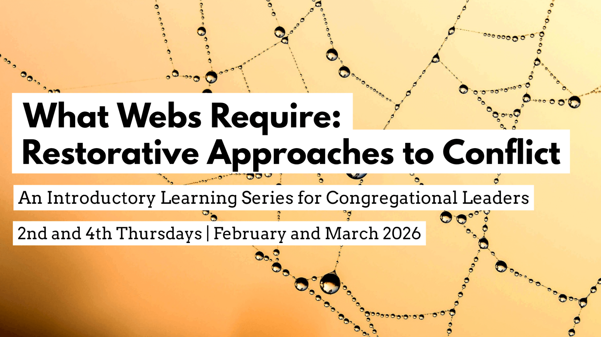 A spider web with dew drops and yellow ombre background with the event name and date, information included below.