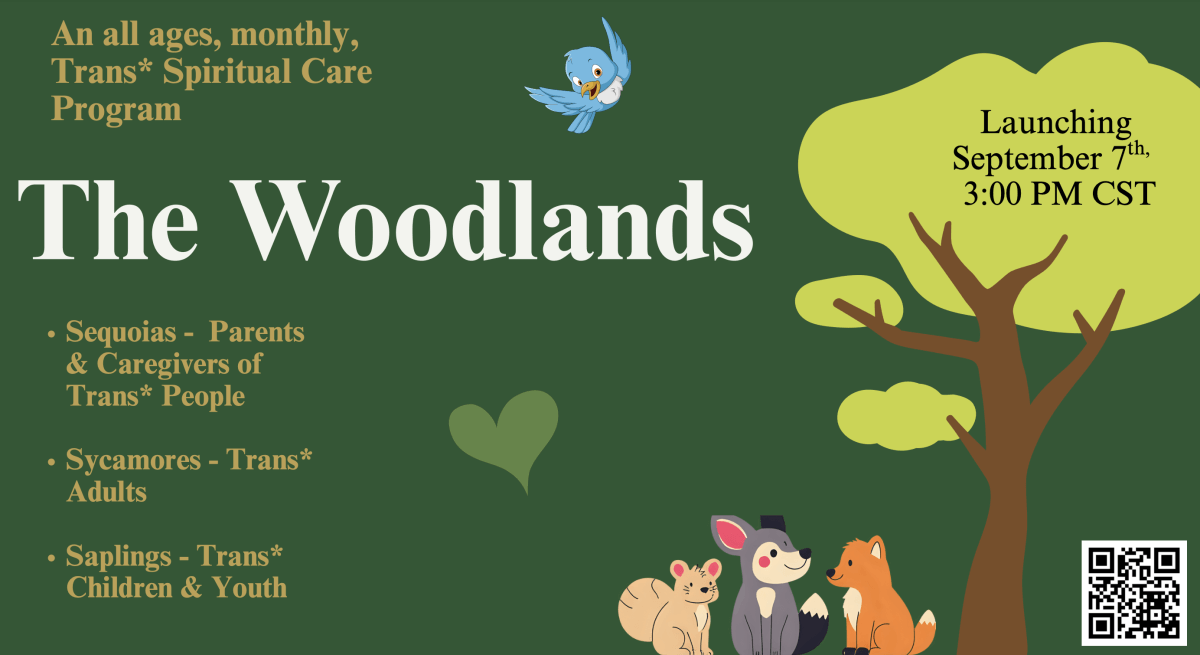 A colorful promotional flyer reads 'An all ages, monthly, trans* spiritual care program “The Woodlands.” Launching September 7th 4:00pm ET; Sequoias - parents & caregivers of trans* people; sycamores - trans* adults; saplings - trans* children & youth'. The background is forest green with a large cartoon-style tree on the right and several woodland animals (a squirrel, a beaver, and a fox) sitting at the base. A bluebird is flying near the top center, and green hearts are used as decorative elements.
