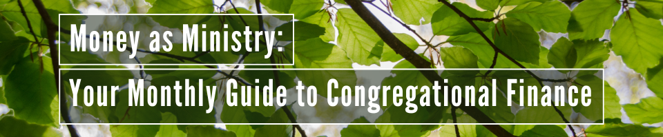 A branch of green leaves is backlit with the text 'NER Money as Ministry' overlaid in white.