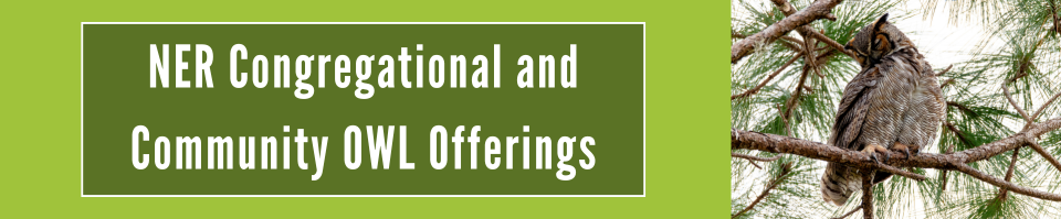 White lettering on a green background reads 'NER Congregational and Community OWL Offerings' to the left with an image of a great horned owl in a pine tree to the right.
