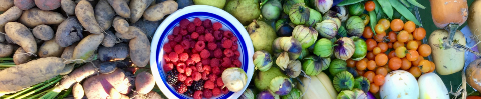 A spread of garden harvested vegetables and fruits on display in myriad varieties, colors, and shapes.