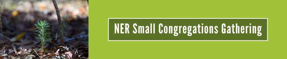 A pine seedling sprouted in a hardwood and pine forest on the left with 'NER Small Congregations Gathering' superimposed in white lettering on a NER green background.