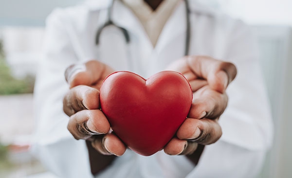 doctor holding toy heart